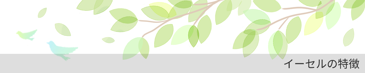 イーセルの特徴
